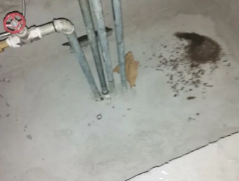 云浮市卫生间测漏水价格明细